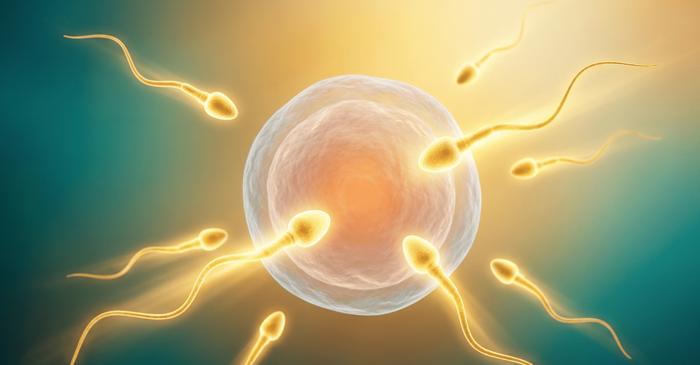Spermatozoizii își ating performanța maximă în iunie și iulie