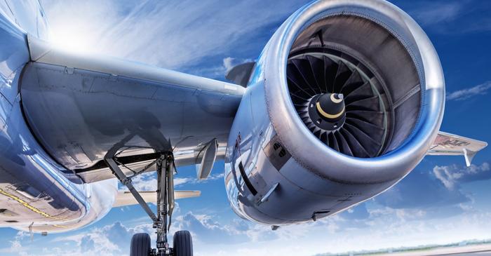 Balena albastră produce sunete de 188 de decibeli, mai puternice decât un avion cu reacție