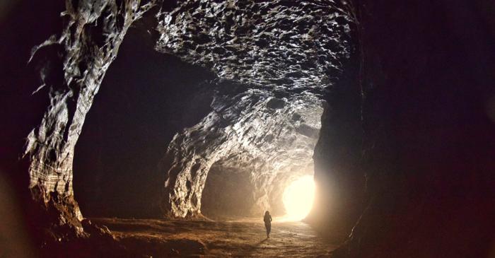 Ce dovedește prezența unui tatu uriaș și a unei broaște țestoase gigantice despre clima preistorică din Texas?