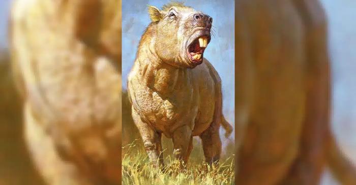 Cel mai mare rozător din istorie avea o mușcătură capabilă să zdrobească un femur uman