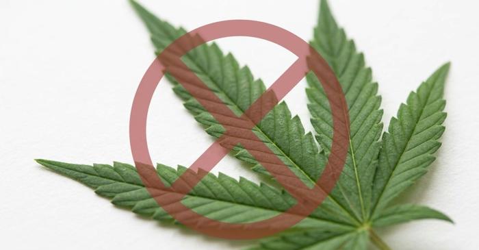 Cel mai mare studiu realizat vreodată infirmă beneficiile canabisului pentru anxietate și depresie