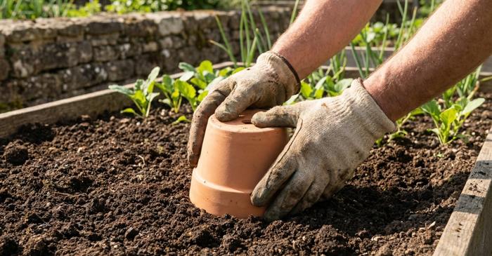 Cum poate o oală de lut neșlefuită să reducă apa pentru irigații cu până la 70%?