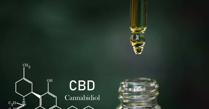 Cumpărarea CBD online ascunde riscuri pe care puțini cumpărători le cunosc