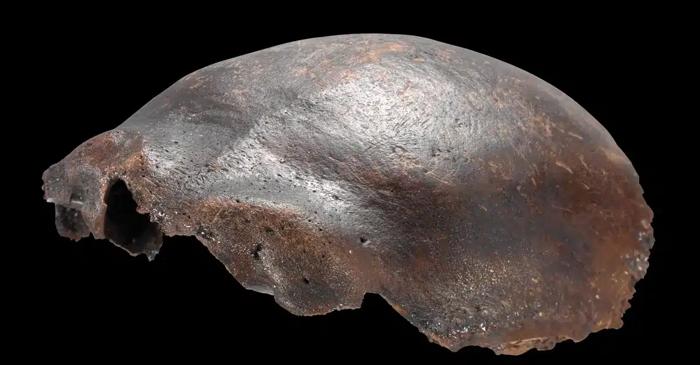 De ce a fost considerat un craniu uman un hibrid de Neandertal timp de 50 de ani?