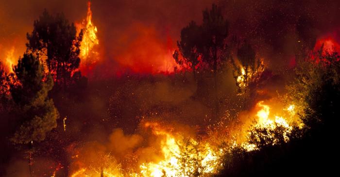 Incendiile provocate de om în California sunt mai rapide și mai devastatoare decât cele naturale