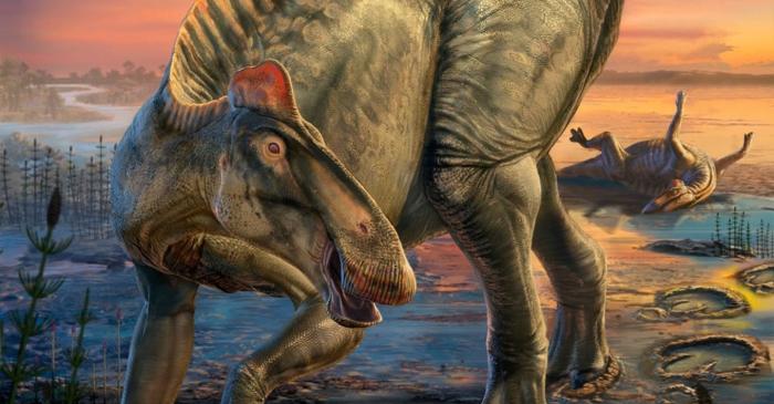 Mumii de dinozaur din Wyoming păstrează copite și piele după 66 de milioane de ani