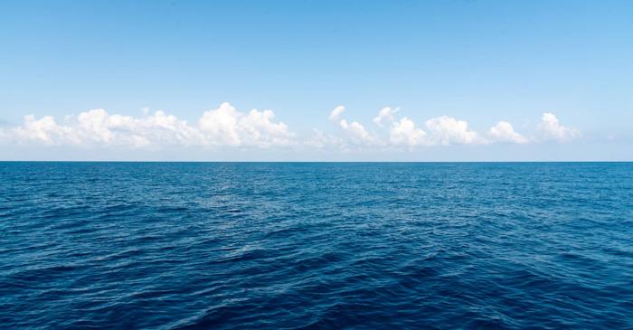 O bacterie vitală pentru oxigenul planetei se reduce accelerat din cauza încălzirii oceanelor