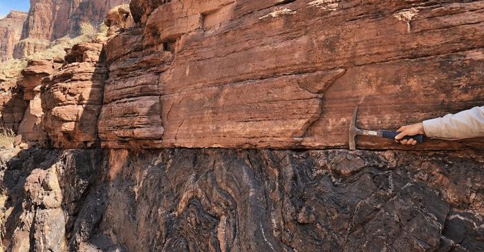 O glaciațiune globală a resetat crusta Pământului și a declanșat apariția animalelor