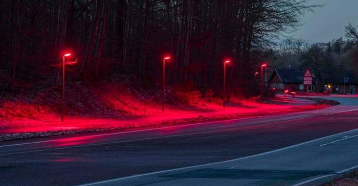 O localitate daneză a înlocuit lampadairele albe cu LED-uri roșii pentru a proteja liliecii