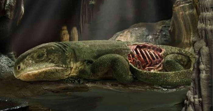 O reptilă primitivă a dezvoltat acum 289 de milioane de ani mecanismul de respirație care a permis cucerirea uscatului