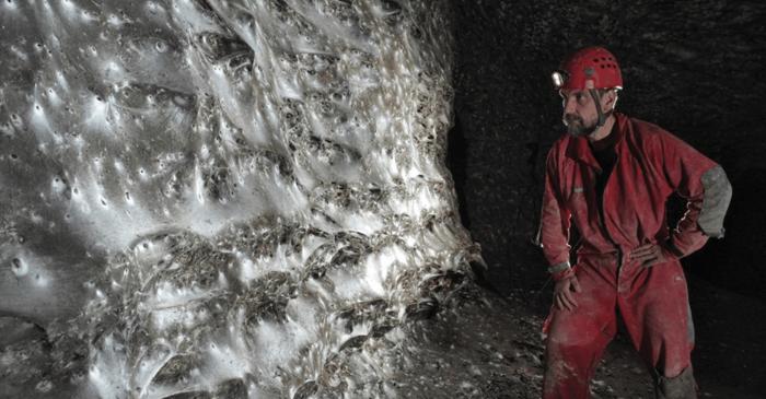 Păianjenii nu vă invadează casa, ci doar au devenit mai vizibili