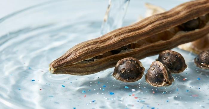 Semințele unui copac tropical purifică apa de microplastice și rivalează cu metodele chimice