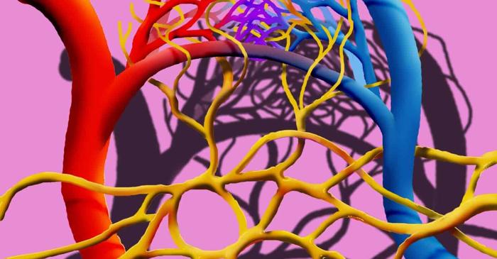 Sistemul limfatic din creier poate fi cheia tratamentului pentru Alzheimer