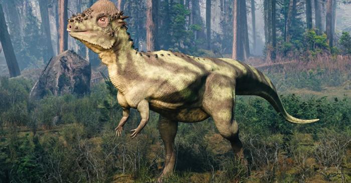 Un dinozaur celebru nu se lovea cu capul, ci lupta ca un cangur