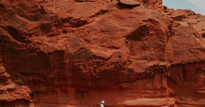 Un echipaj exclusiv feminin pe Marte ar economisi resurse vitale