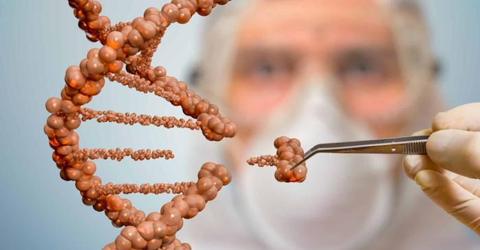 Un singur gen explică diferențele fizice între oamenii moderni și neanderthalieni