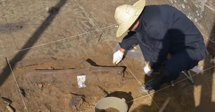 Uneltele de lemn de 300.000 de ani contestă superioritatea tehnologică a Europei