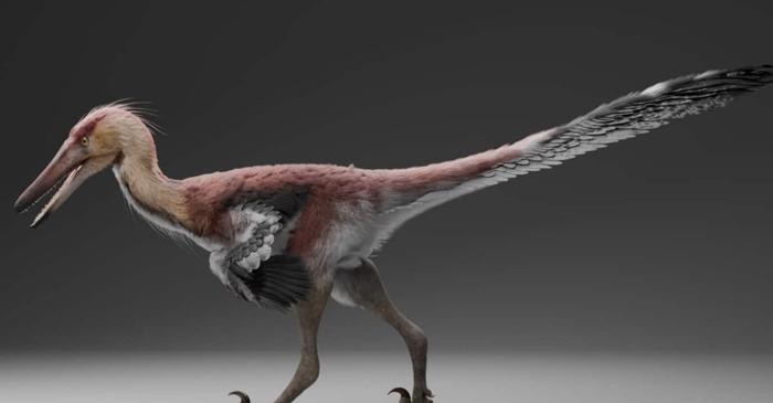 Acest dinozaur din Patagonia vâna peștii exact ca un stârc, deși trăia acum 70 de milioane de ani