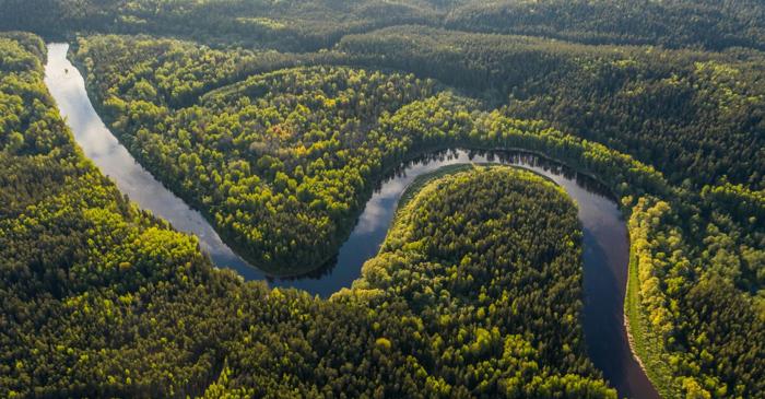 Amazonul se îndreaptă spre un climat nemaivăzut de milioane de ani