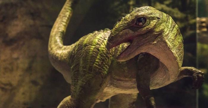 Au crezut că e un crocodil, dar au descoperit ceva nemaivăzut în Texas