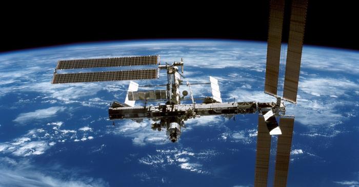 Ce vor dezvălui viermii trimiși de NASA pe ISS?