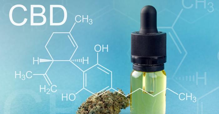 De ce nu mai este permis CBD-ul în alimentele din Franța?