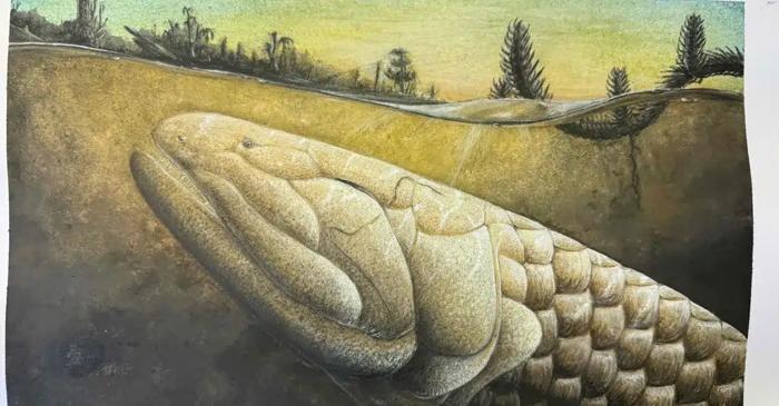 Descoperirea acestui craniu ar putea modifica manualele de biologie?