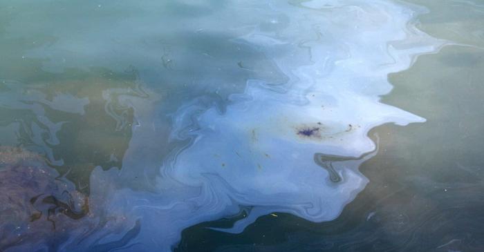 Mărgele biodegradabile din materiale naturale absorb petrolul mai eficient