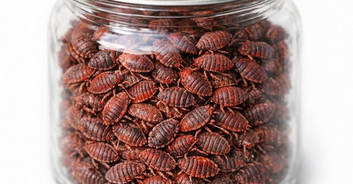 Conține insecte zdrobite, dar nu scrie pe etichetă