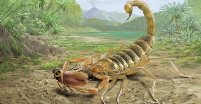 Fosila unui scorpion cât palma, descoperită în China, completează o pagină lipsă din istoria vieții terestre