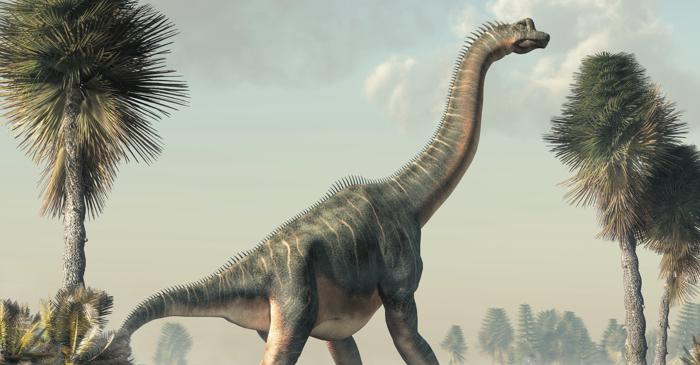 Coada acestui Giraffatitan cântărea cât un rinocer, dar se ghemuia ca o felină